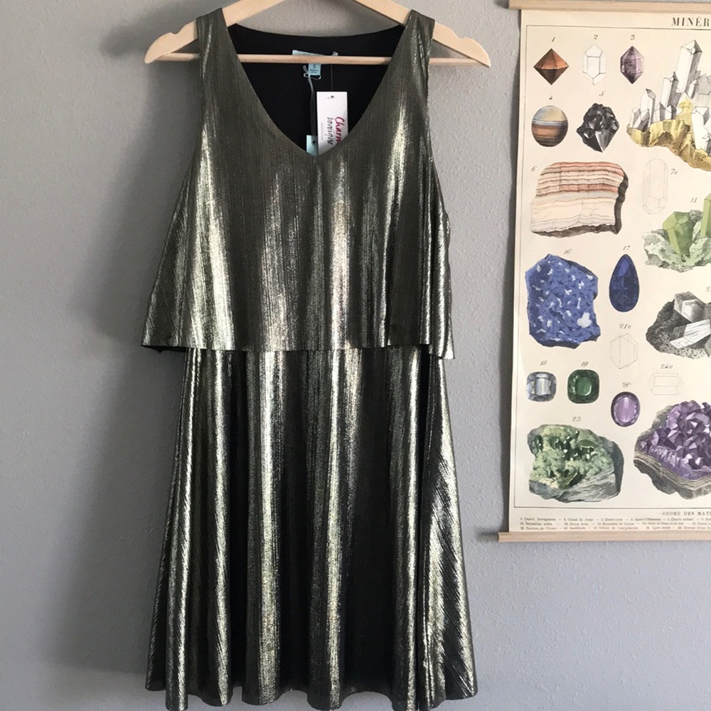 NWT metallic tiered dress